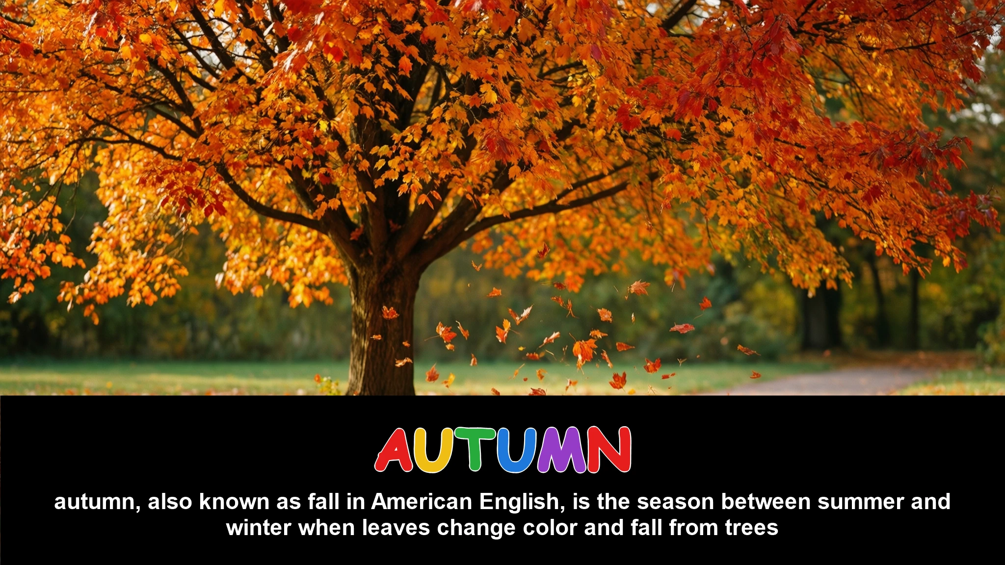 English Illustration for autumn